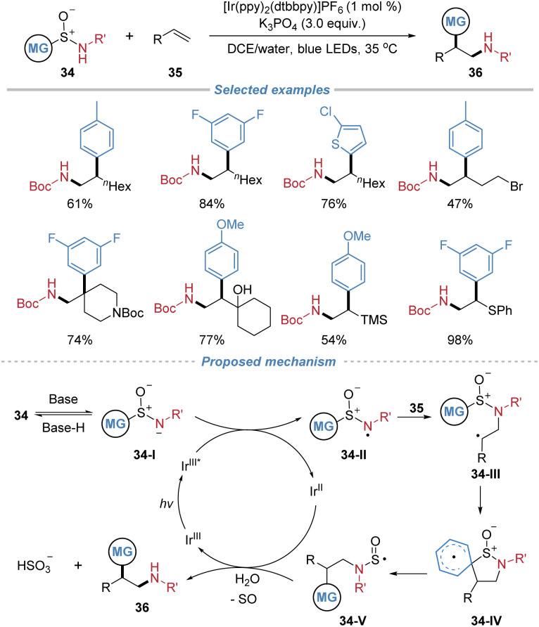 Scheme 13