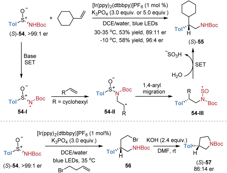 Scheme 20