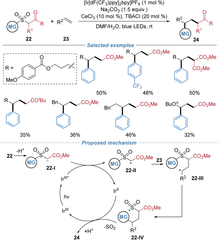 Scheme 9