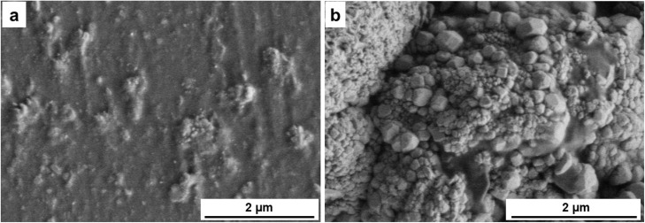 Fig. 8