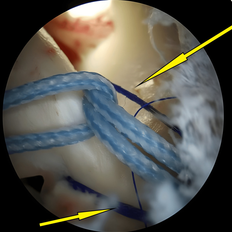 Figure 8