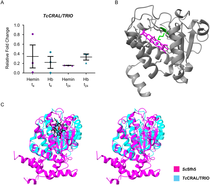 Figure 6