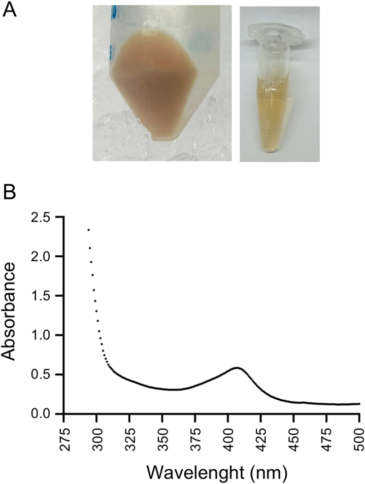 Figure 7