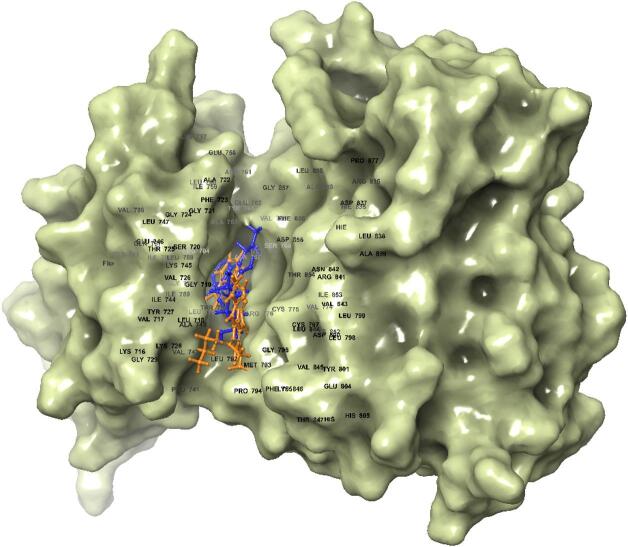 Figure 12