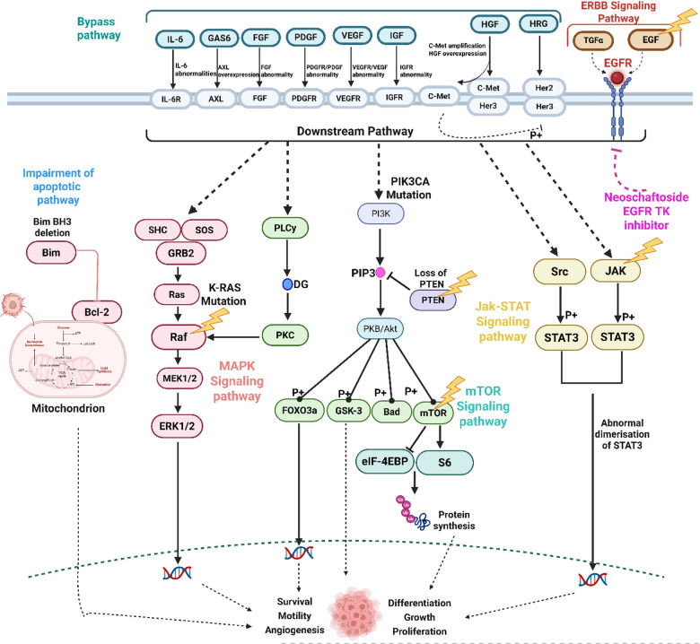 Figure 17