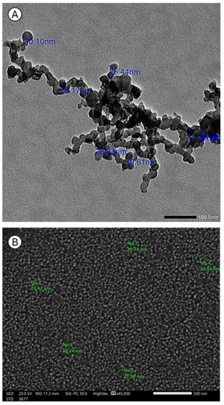 Figure 2