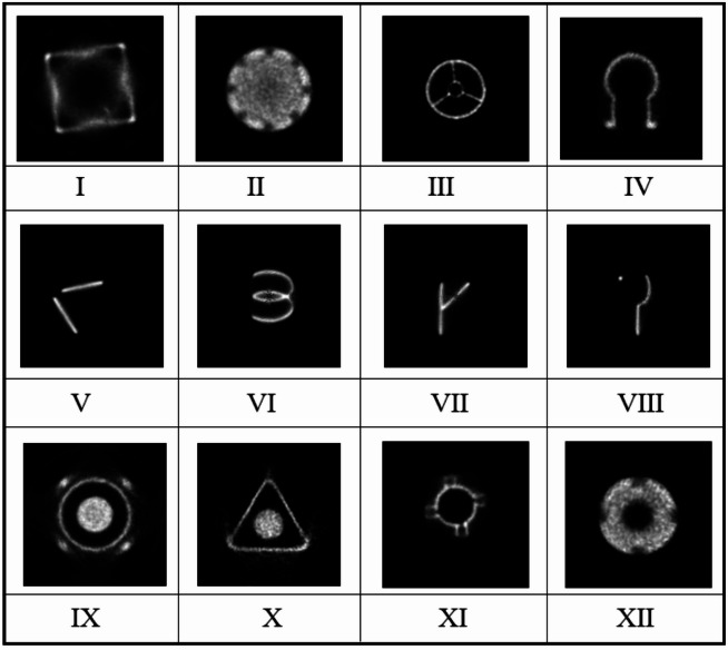 Figure 7
