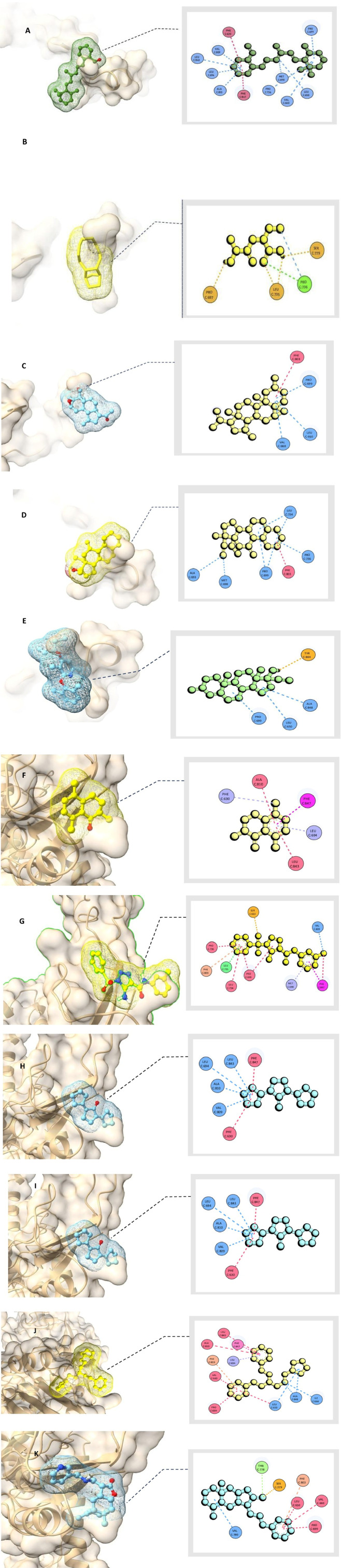 Figure 10