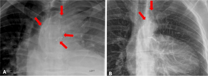 Figure 7