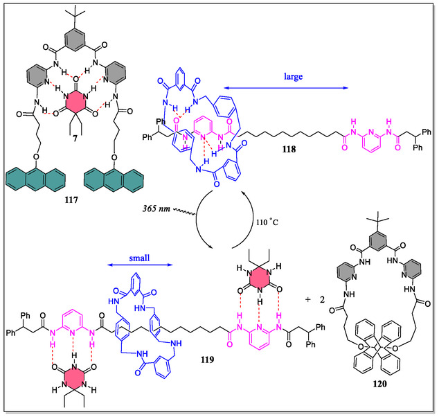 Figure 29