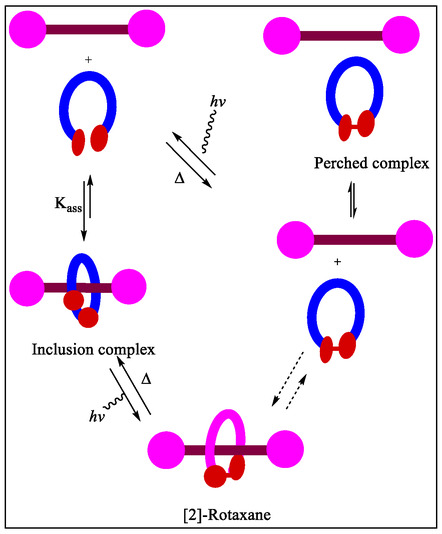 Figure 41