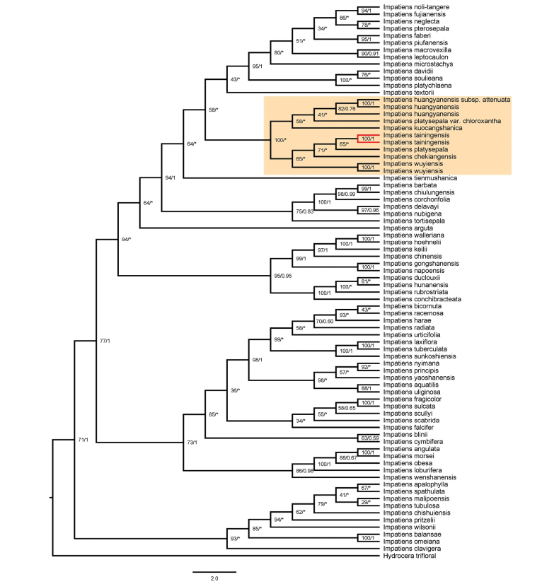 Figure 6