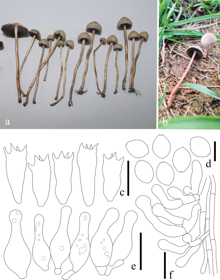 Figure 5