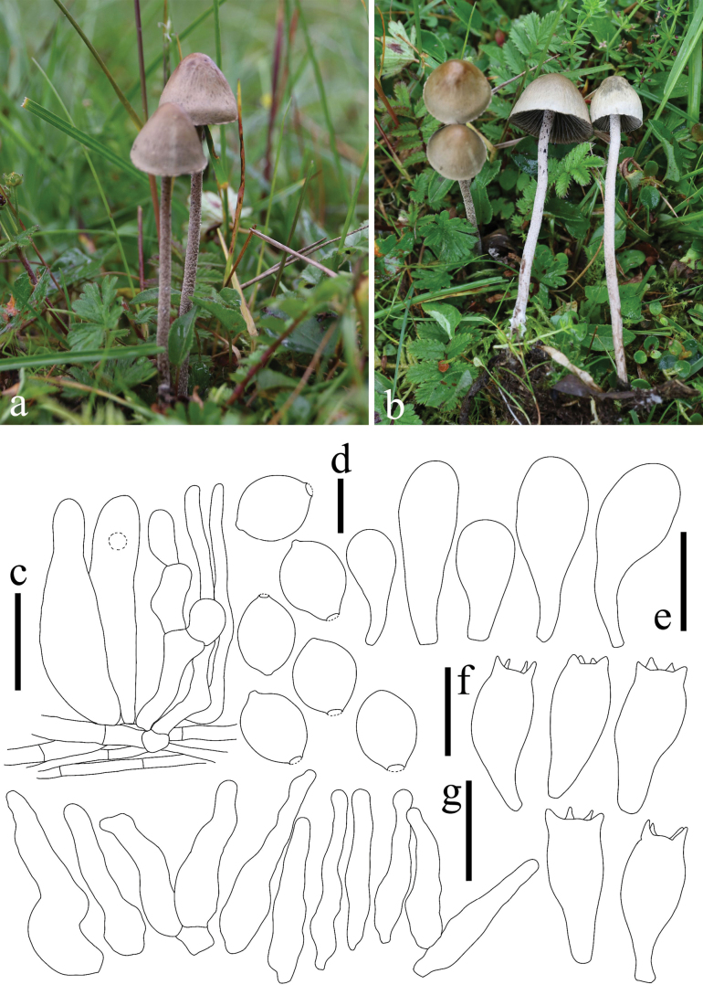 Figure 9