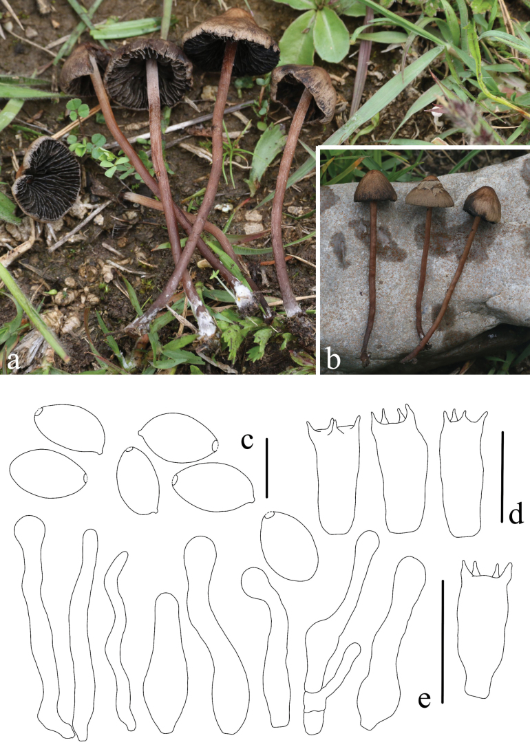 Figure 13