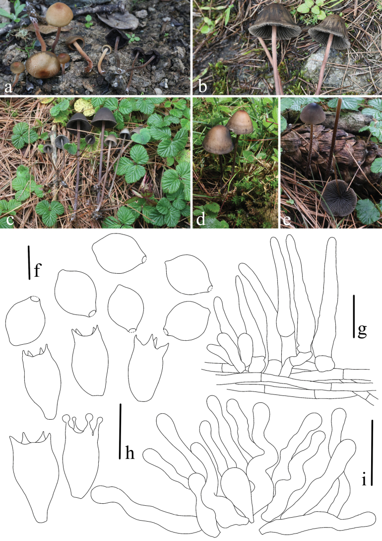 Figure 14