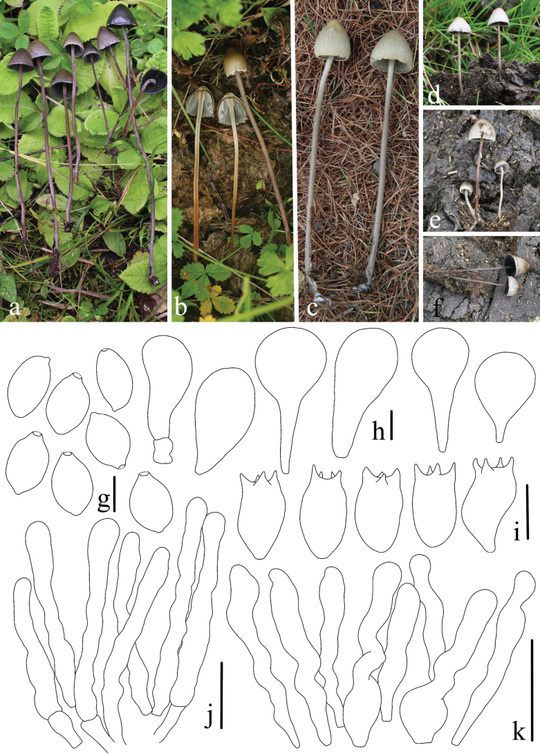 Figure 15