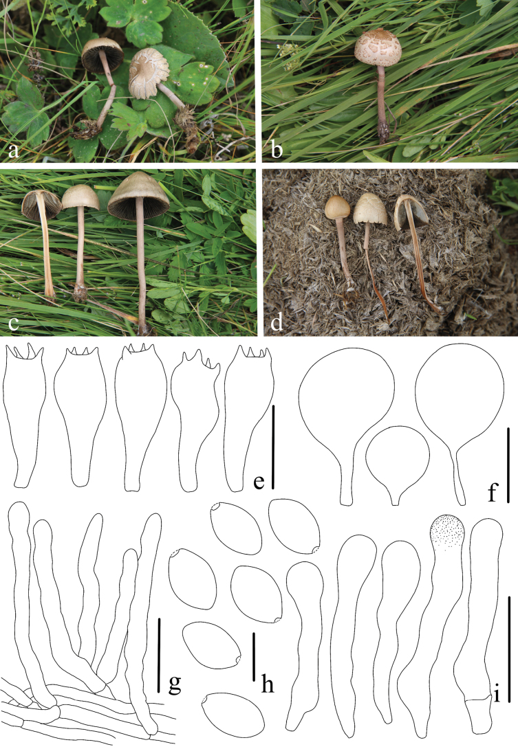 Figure 16
