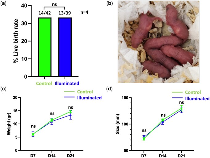Figure 5