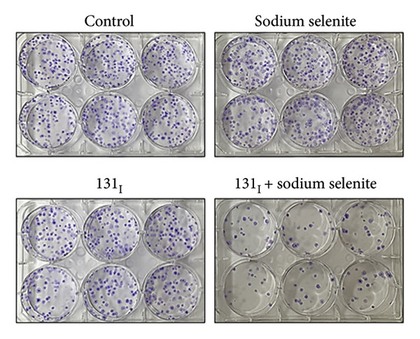 Figure 15