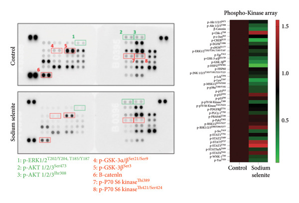 Figure 19