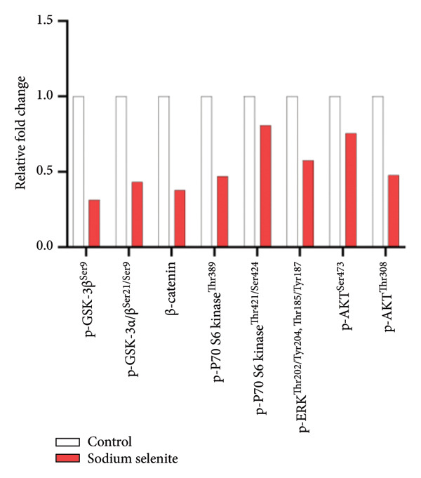 Figure 20