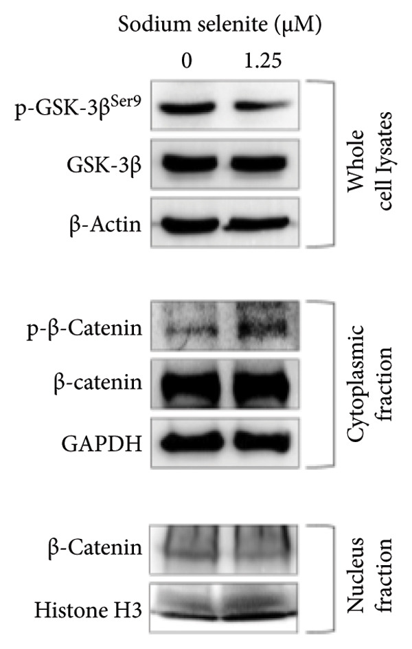 Figure 21