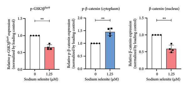 Figure 22