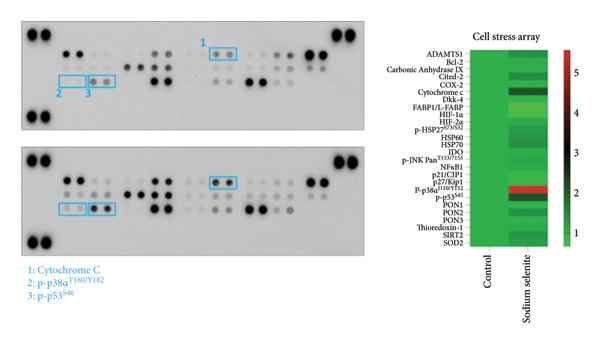Figure 23