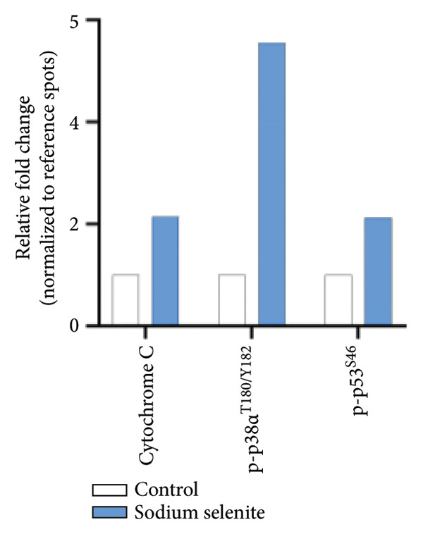 Figure 24