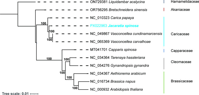 Figure 6