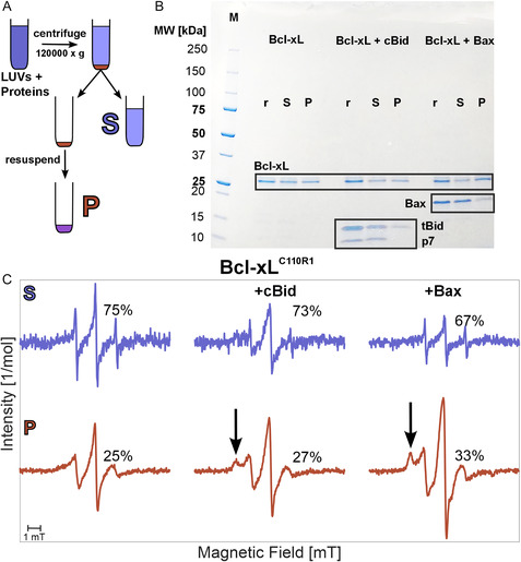 Figure 20