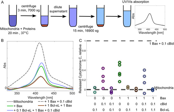 Figure 21