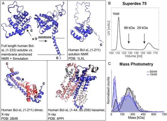 Figure 24