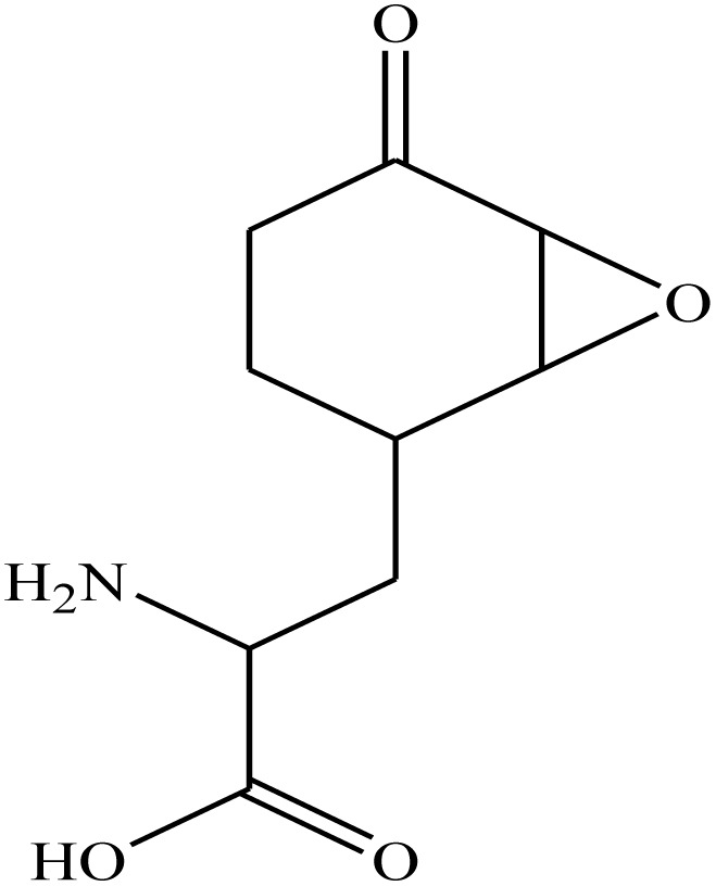 Figure 21