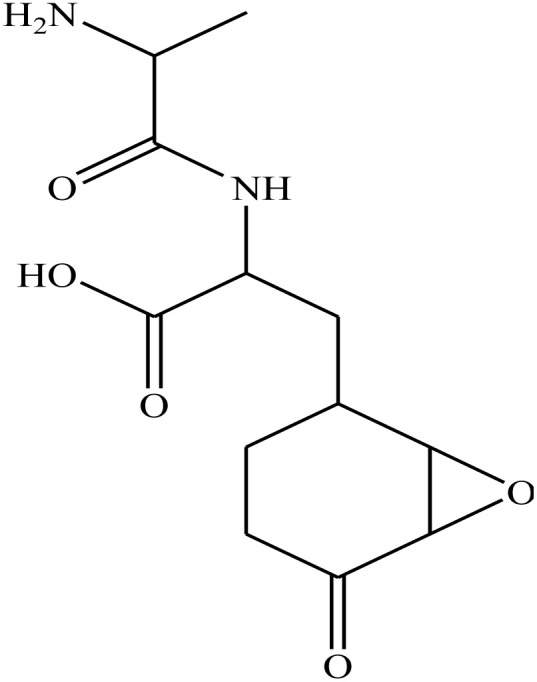 Figure 22