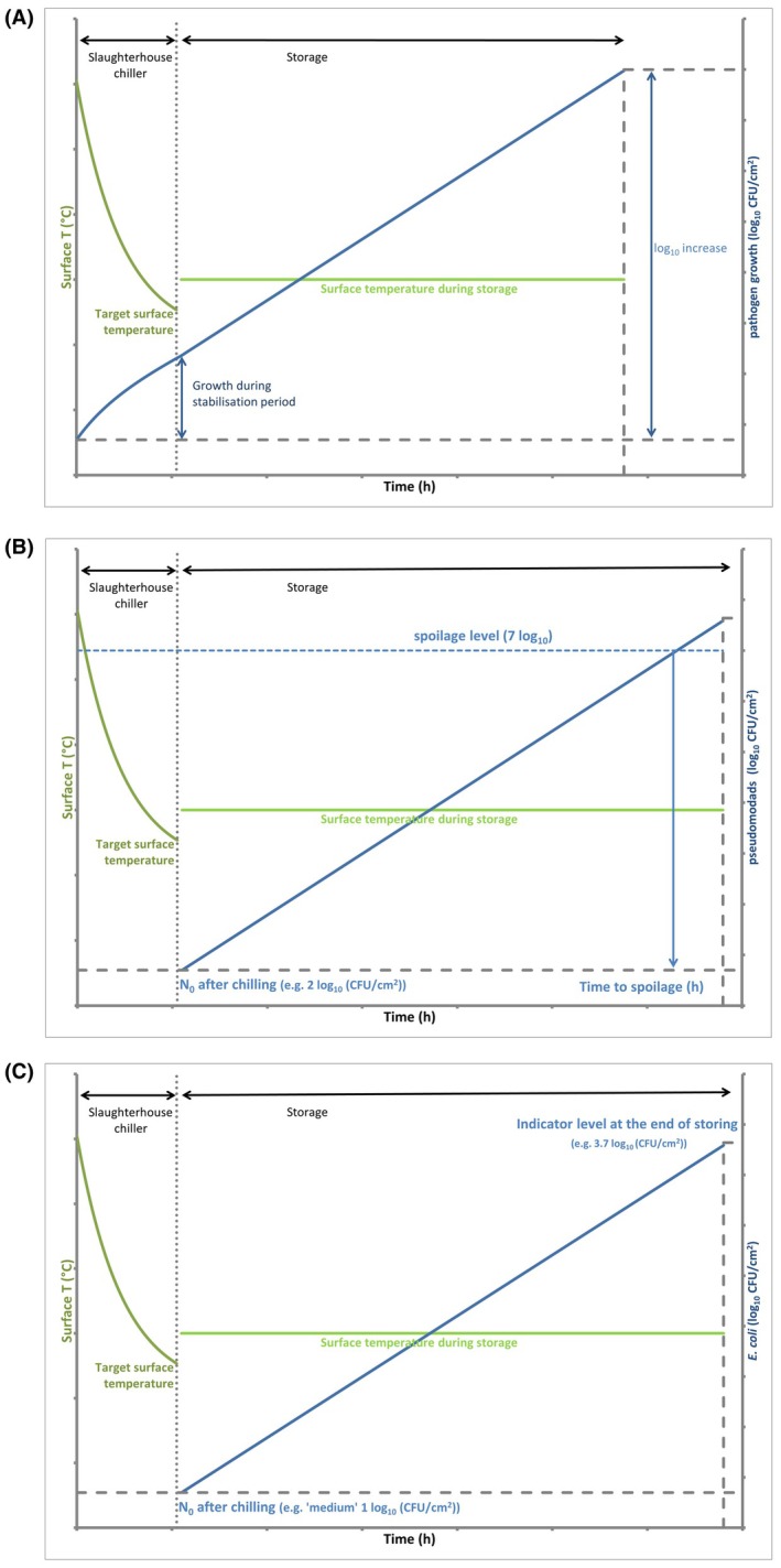 Figure 9