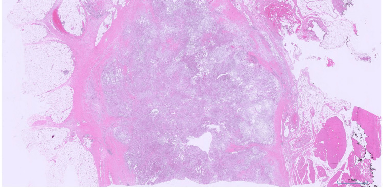 Figure 8
