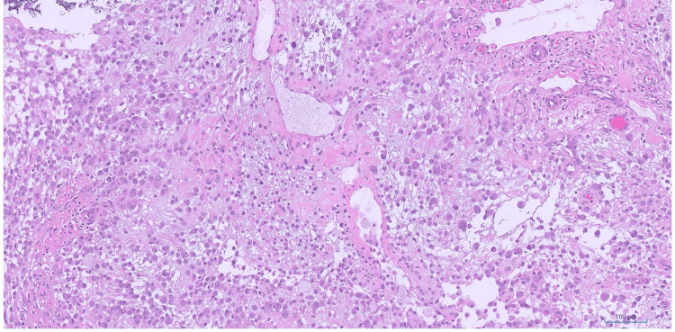 Figure 9