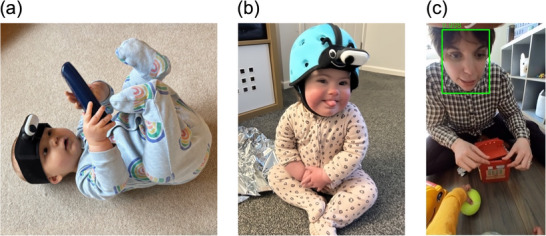 FIGURE 1