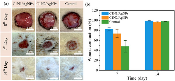 Figure 7