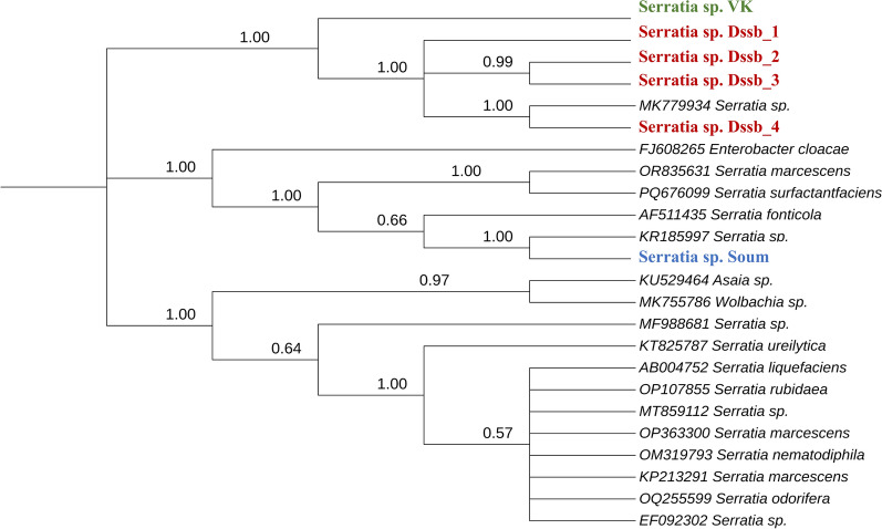 Figure 6