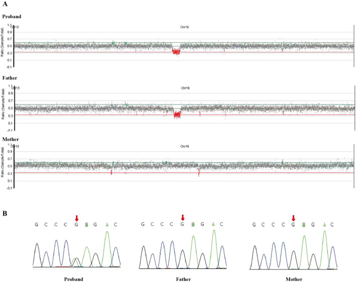 Figure 4