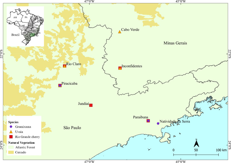 Figure 1