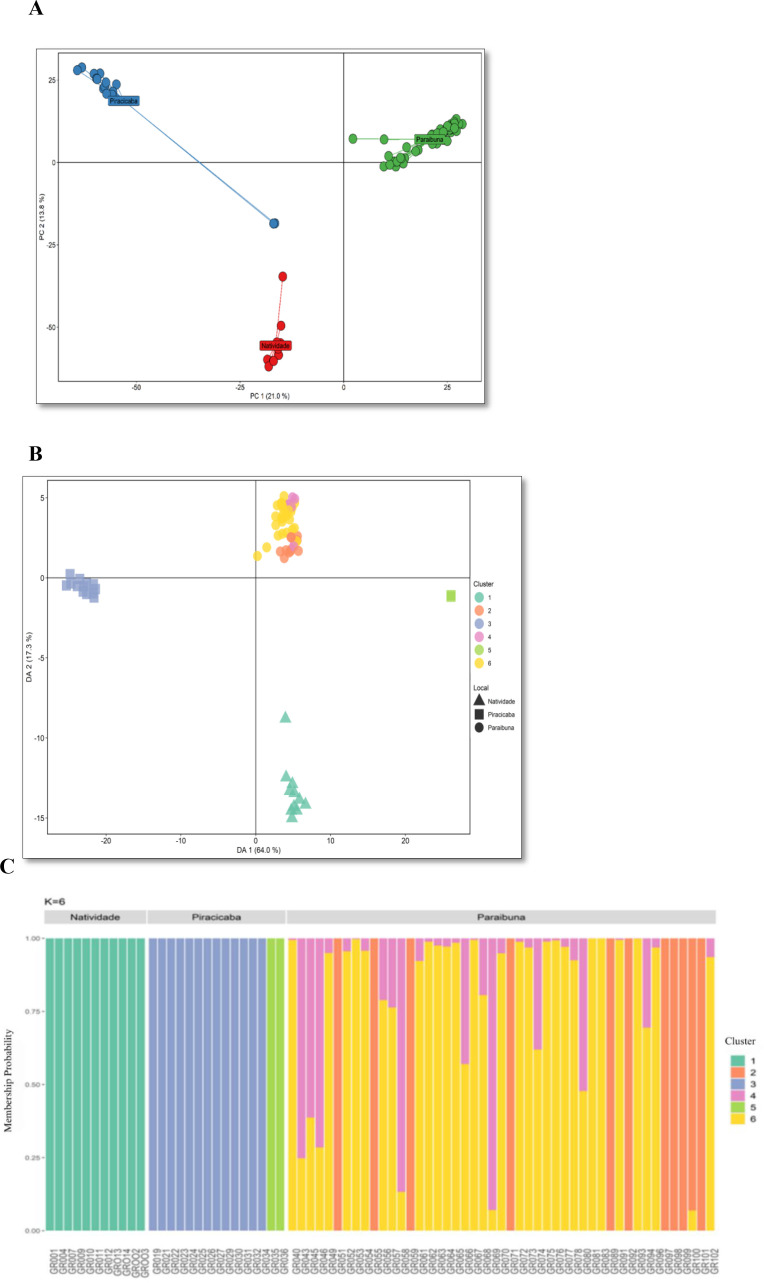 Figure 2