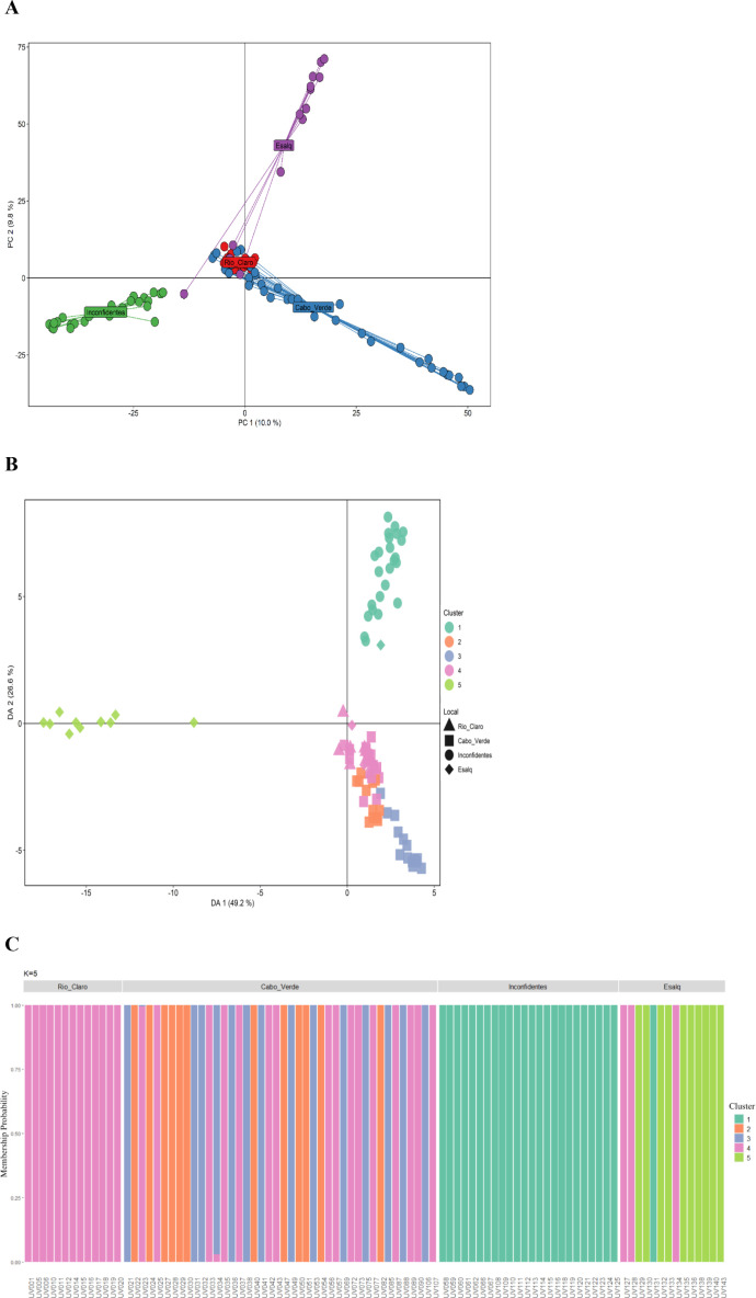 Figure 4