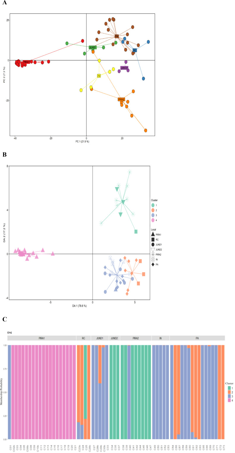 Figure 5