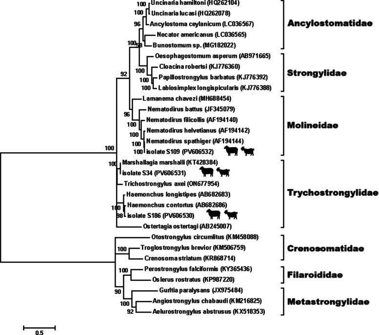 Figure 5