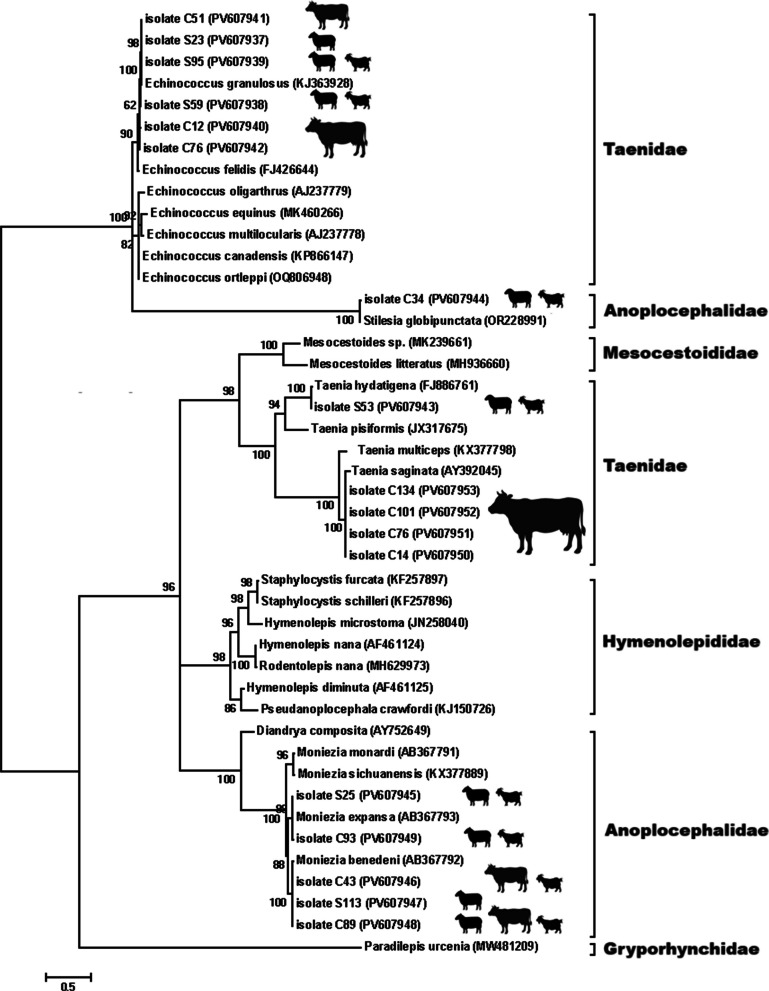 Figure 6