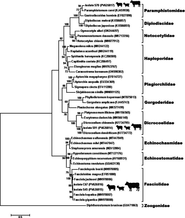 Figure 7